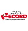 Record